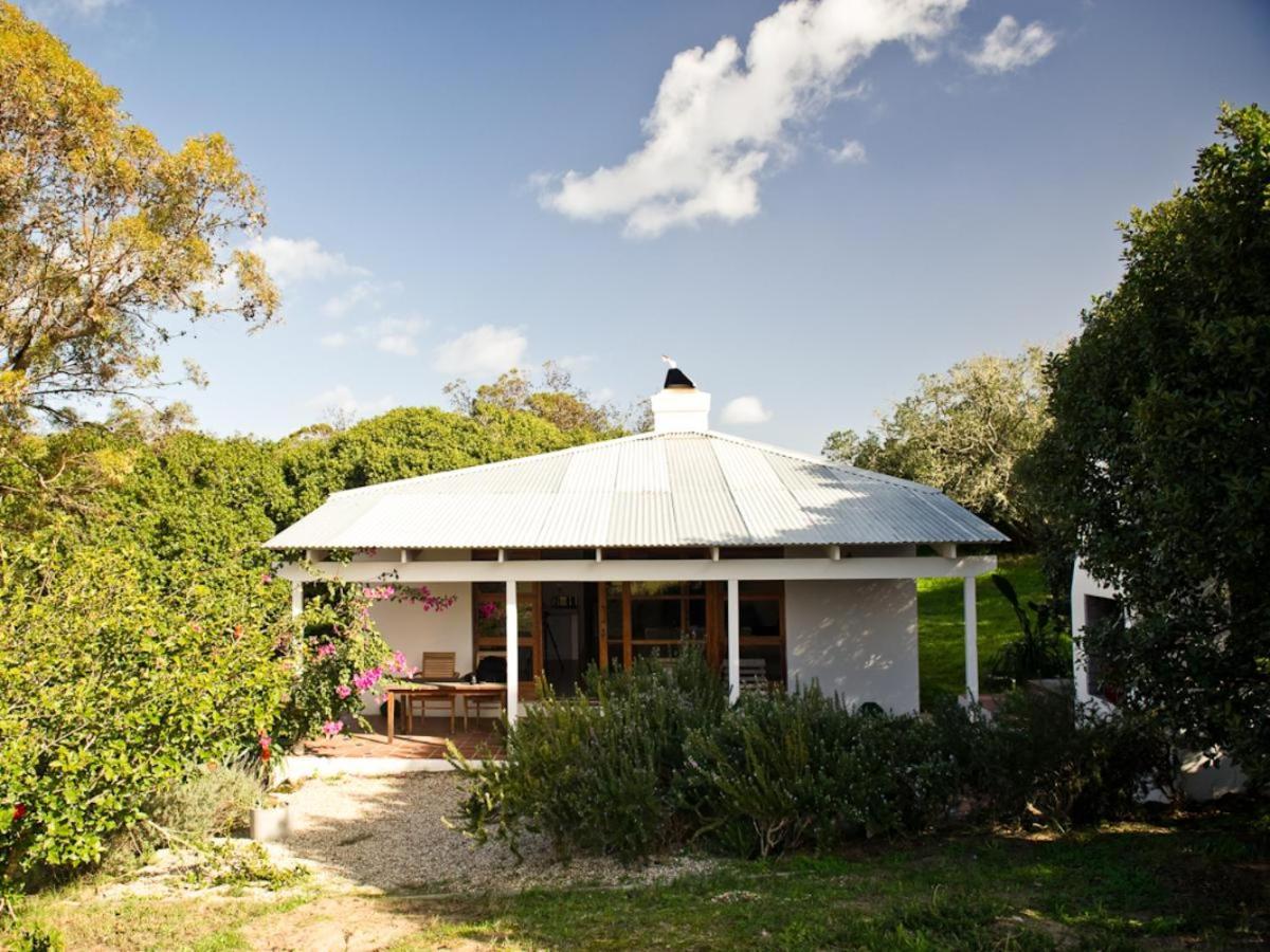 Springfontein Wine Estate Hotell Stanford Rum bild