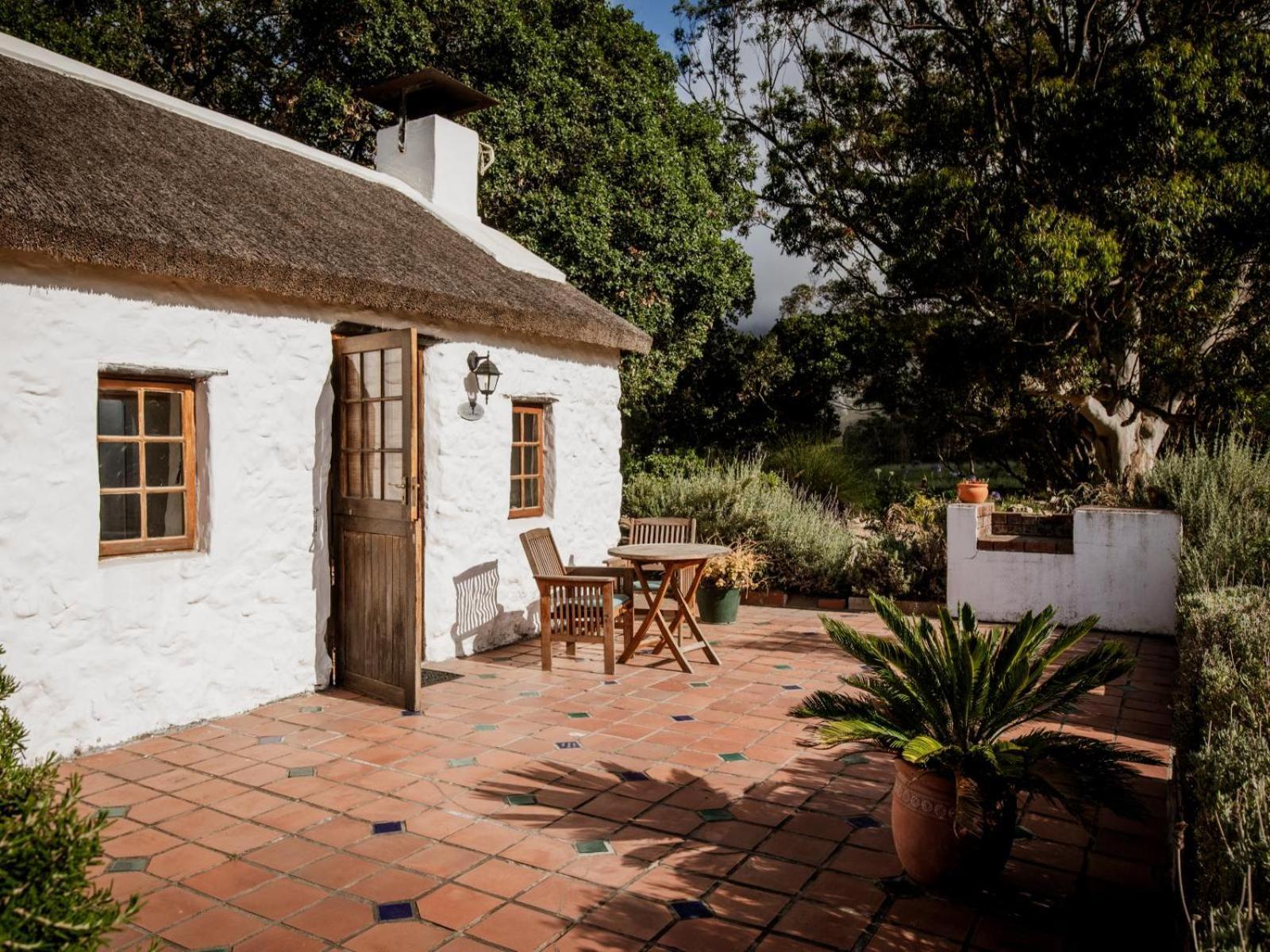 Springfontein Wine Estate Hotell Stanford Exteriör bild